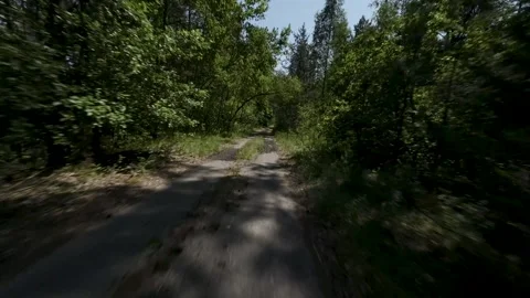 Fast Flying Fpv Drone View In Green Forest Stock Footage 243512197