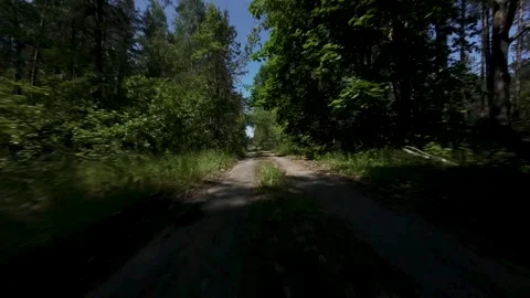 Fast Flying Fpv Drone View In Green Forest Stockbeeldmateriaal 243512221