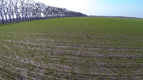 Fast flying low over green field Stock-Footage 61197755