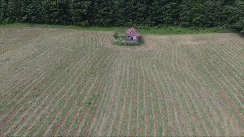 Fast flying to an old and abandoned house Vídeo Stock 113192902