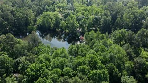 Fast flying over forest, river, bridge, park, road and tram stakes. Stock Footage 209893611