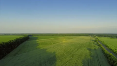 Fast flying over green field Stock Footage 100661878