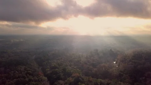 Fast flyover of forest in Florida with light rays shining through the clouds. Video stock 122377817