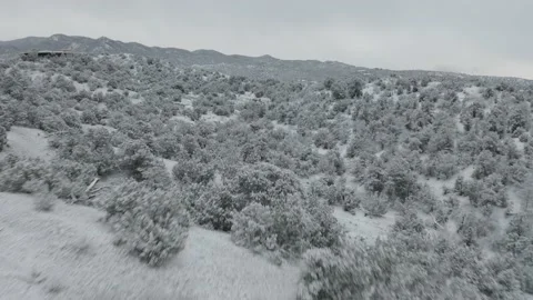 Fast flyover shot of snowy trees in New Mexico Stock Footage 167667734