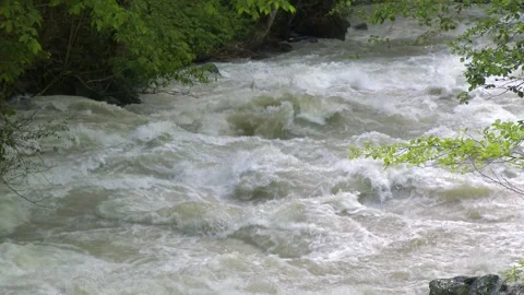 Fast foaming river races through forest - River Current and Turbulent Water Stock Footage 339818901