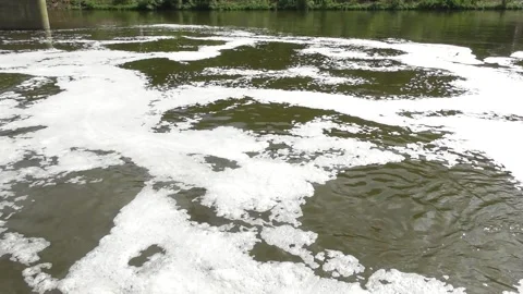 Fast foaming water of the Saar Vídeo Stock 334452557