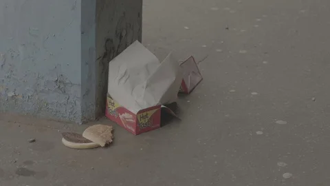 Fast food Video stock 76614716