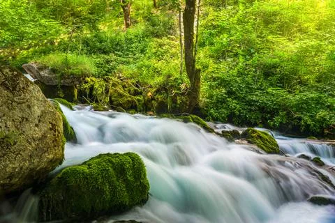 Fast forest river Foto stock