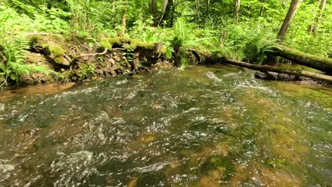 Fast Forest Stream Flowing Over Stones Stock Footage 330156109
