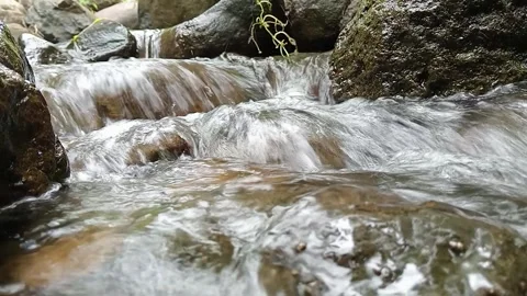 Fast Forest Stream Flowing Over Rocks – Dynamic Natural Water Stock Footage 330561079