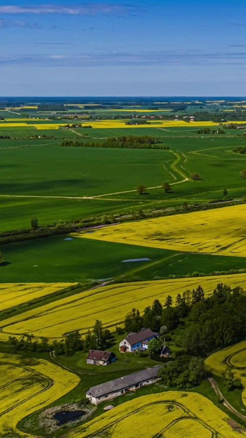 Fast Forward Timelapse of Cloud Shadows Over Yellow Canola Fields Stock Footage 345435387