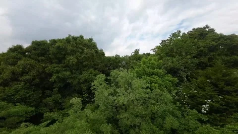 Fast FPV Drone Clips: Springtime Soar Over Rocky Point Stockbeeldmateriaal 243367086