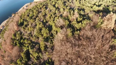 Fast FPV Drone Flight Along Trees and Tikvesh Lake, Macedonia Video stock 330610905