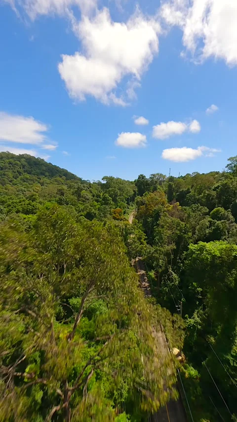 Fast FPV drone flight over tropical road. Stock Footage 254774096