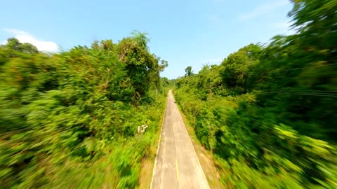 Fast FPV drone flight over tropical road in Thailand. Vídeos de archivo 257726111