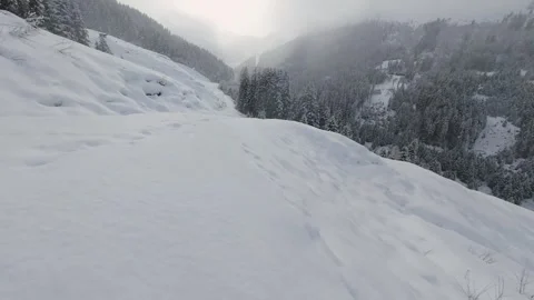 Fast FPV Drone Flight Over Winter Forest Snow Covered, 4K Stock Footage 323463826