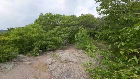 Fast FPV Drone Flights: Spring Aerial Exploration of Rocky Point Video stock 243367169