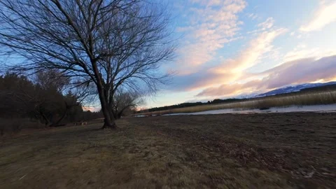 Fast FPV Drone Video Flying Past Trees at Laguna La Zeta Stock Footage 336776737