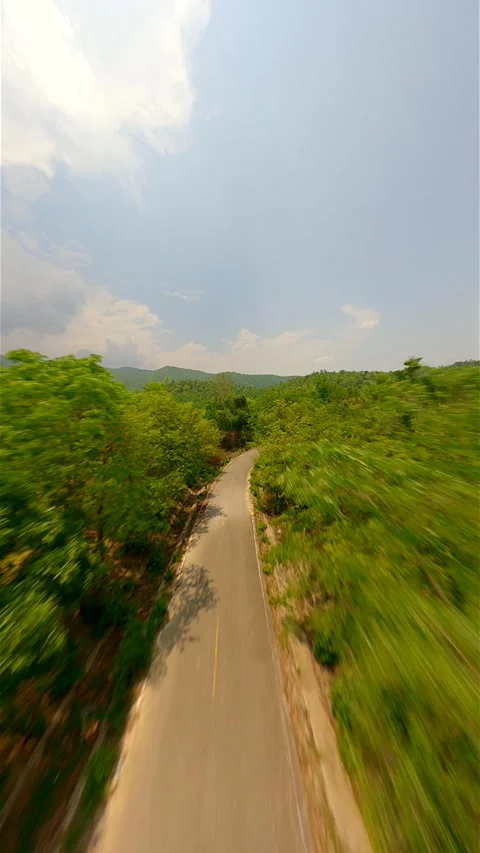 Fast FPV flight over tropical road through green forest in Thailand in summer Stock Footage 276309166