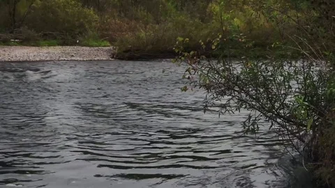 Fast Jeb river Stock Footage 81663976