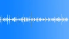 Fast keyboard typingSound Effect