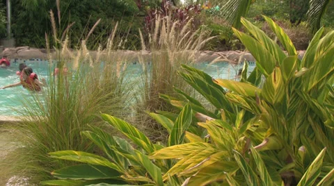 Fast Lazy River Flowing Behind Tropical Plants with People Stock Footage 25045737