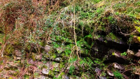 Fast Left Pan From Rocky Green Cliff Into Canyon Landscape 4K Cinematic Shot Stock Footage 334427002