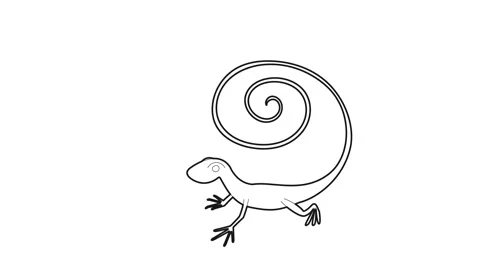 Fast lizard icon animation Stock Footage 161043652