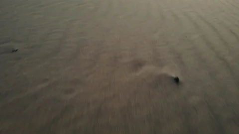 Fast low flight over the desert Stock Footage 138579987