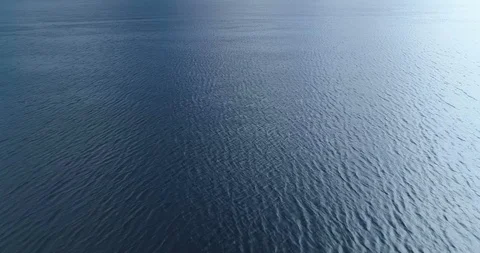 Fast low flight over relatively calm water filling entire frame Vídeo Stock 90957616