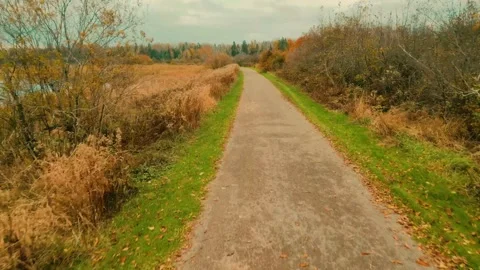 Fast Low Flying Drone Over Gravel Walking Path Beside A Marsh Stock-Footage 255145371