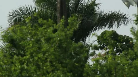 Fast low flying helicopter Stock Footage 11607328