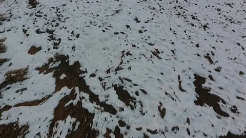 Fast low push across winter field Stock Footage 86294819