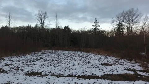 Fast low push across winter field to trees Stock Footage 86294829