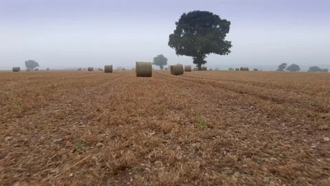 Fast Low Tracking Shot Over Field Between Hay Bales 動画素材 137422304