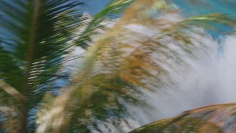 Fast motion blur showing trees against a blue sky Vidéo 340845754