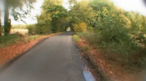 Fast motion drive through a tunnel of trees. High quality HD video footage Vídeos de archivo 32961494