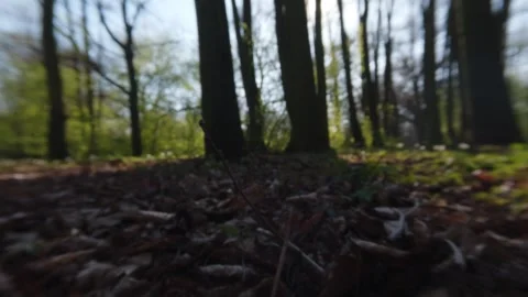 Fast motion shot close to grass imitating animal vision running through mea.. Stock Footage 333013274