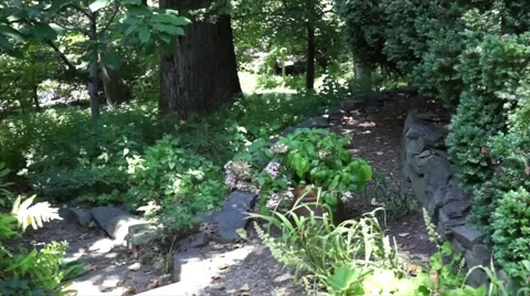 Fast motion video of walking through a nature trail Stock Footage 53789892