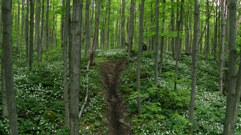 Fast Mountain Biking  Vídeo Stock 79036996