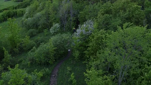 Fast Mountain Biking  Vídeo Stock 79045080