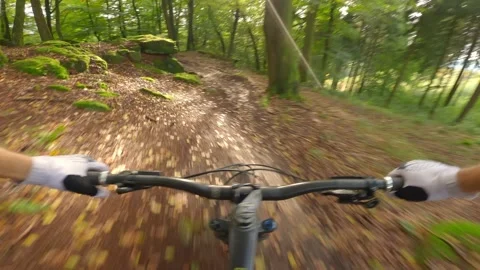 Fast Mountain Biking in Lush Forest on Leaves during Sunset Video stock 220492456