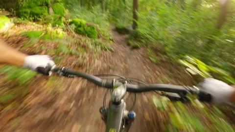 Fast Mountain Biking in Lush Forest on Leaves during Sunset Stock Footage 220494528