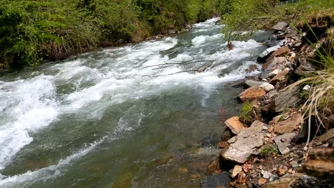 Fast mountain cold river in the summer on a clear day. Vidéo 124328776