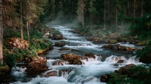 A fast mountain forest river flows swiftly among rocks and trees Video stock 315157339