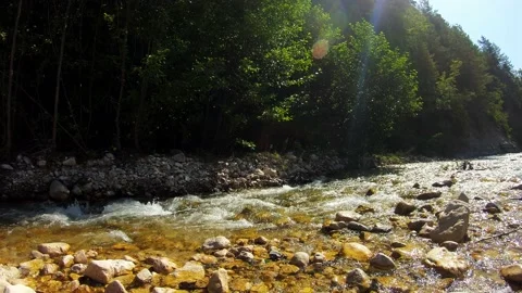 Fast mountain river in Caucasus, clean cold water in stream. Georgia Stock Footage 204869299