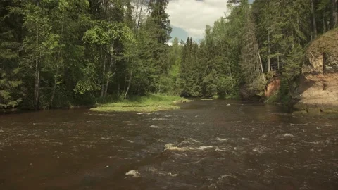 Fast mountain river with cliffs flowing through forest in a summer day Stock Footage 159981554