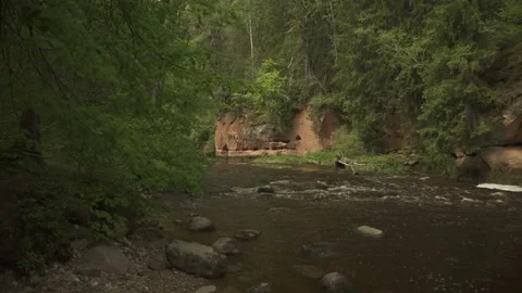 Fast mountain river with cliffs flowing through forest in a summer day Stock Footage 159981676