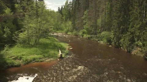 Fast mountain river flowing through forest shot from high angle Video stock 159981478