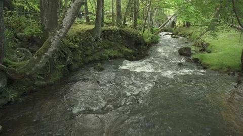 Fast mountain river flowing through forest in a summer day Stock Footage 159981903